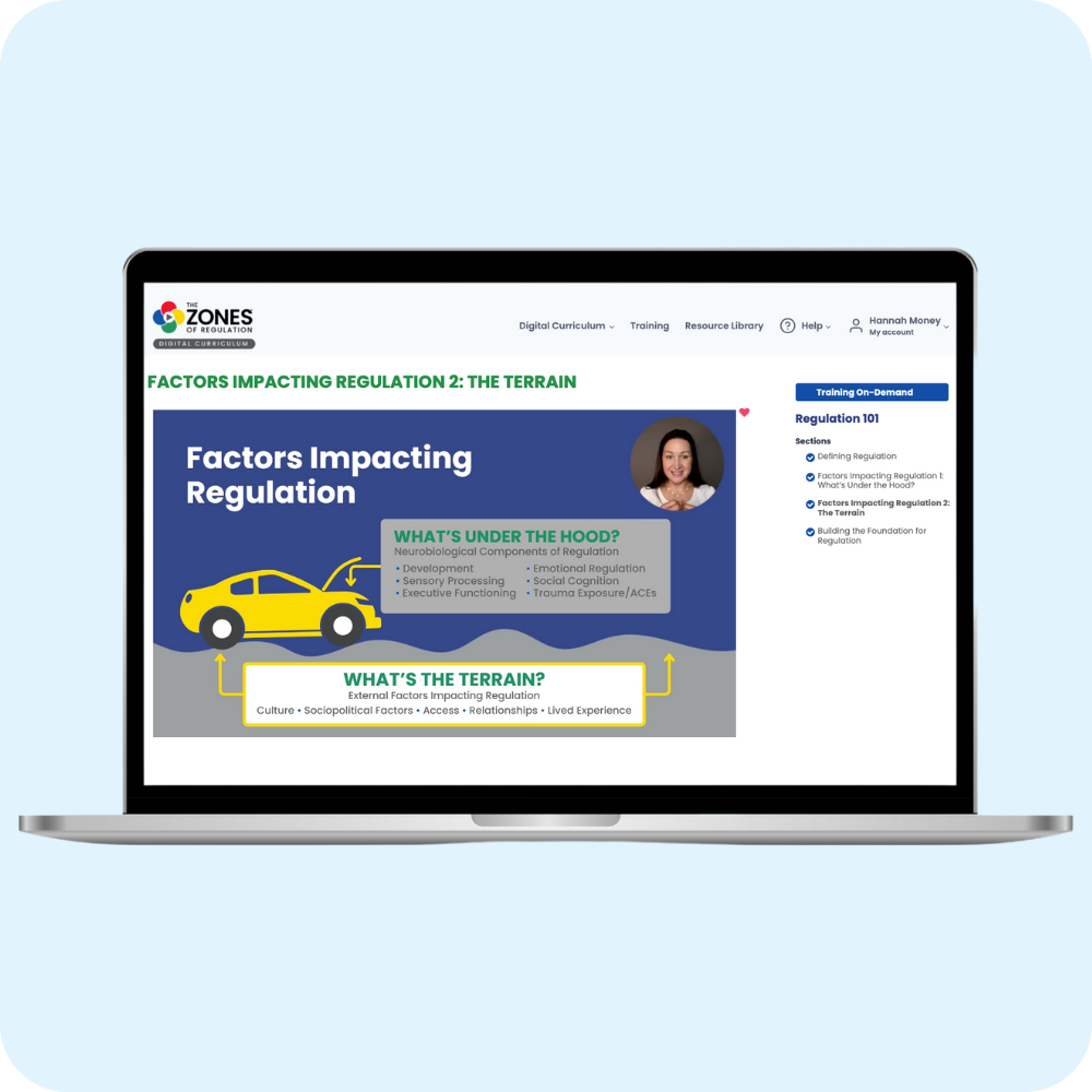 Pro Implementation Bundle