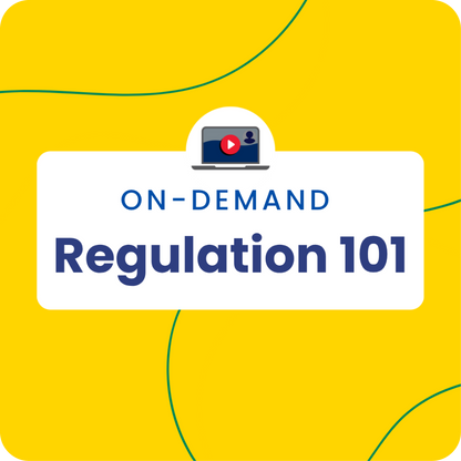 Regulation 101: Laying the Foundation for Regulation