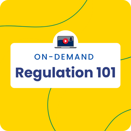 Regulation 101: Laying the Foundation for Regulation